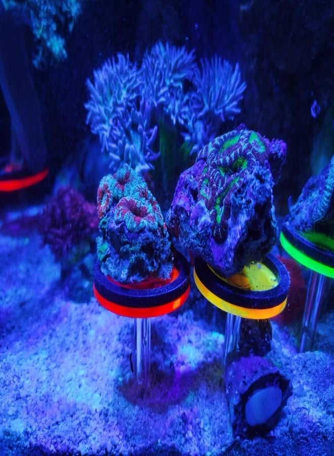 Saricho coral frag holer,Column, set of four with four round Flat coral pedestals - Image 4